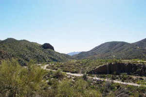 Carefree Ranch Homesteads 19C