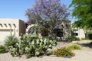 2772 SqFt - 3/2.5 bed/bath - $699,900