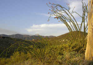 Ranch Highlands 33