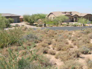 Bella Tierra 37