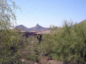 Troon Ridge Estates 3/4 74
