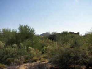 Candlewood Estates 54