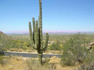 Estancia 224