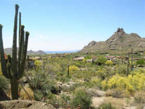 7118.00 SqFt - 5/6.5 bed/bath - $5,995,000