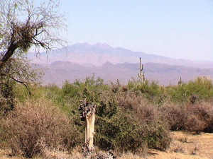 Sunrise Desert Vistas 8