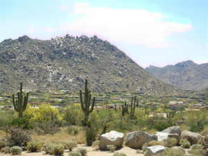 Estancia 237