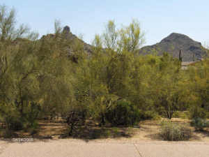 Estancia 2