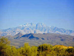 2449.00 SqFt - 4/2 bed/bath - $485,000