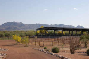 3758.00 SqFt - 3/4 bed/bath - $3,995,000