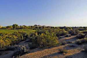 Candlewood Estates 41