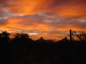 4460.00 SqFt - 3/3 bed/bath - $1,275,000
