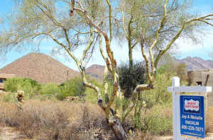 Pinnacle Peak Vistas 1 57