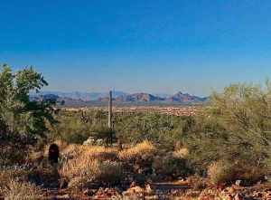 Upper Canyon at Silverleaf 1607