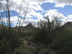 Estancia 75