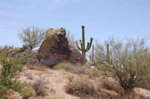 Non-HOA in Troon Area 39