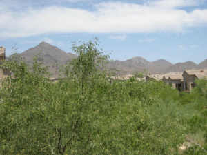 1674.00 SqFt - 3/2 bed/bath - $444,500