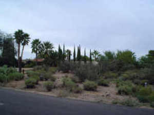 Rio Verde 237