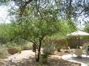 Winfield Patio Homes home for sale