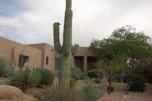 3054 SqFt - 3/3 bed/bath - $749,900