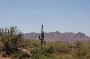 Non-HOA in Troon Area 39
