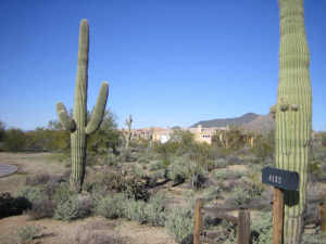 Other Boulder Area Property 12