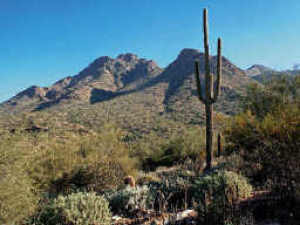 Upper Canyon at Silverleaf 1901