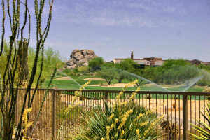 Terravita home for sale