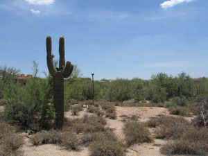 Whisper Rock 27