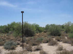 Whisper Rock 169
