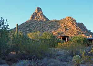 Desert Highlands 684