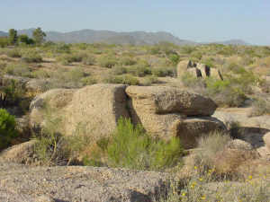 Other Boulder Area Property 1