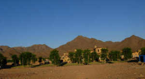 Arcadia at Silverleaf 3709
