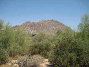Desert Highlands 624