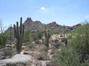 Estancia 195