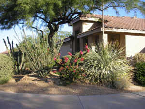 Kaufman  Broad at McDowell Mountain home for sale
