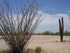 Non-HOA Pinnacle Peak Area 0