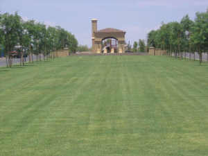 Arcadia at Silverleaf 3608