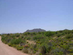 136th to 144th 4