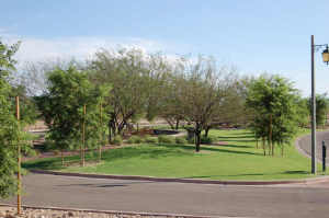 Arcadia at Silverleaf 3675