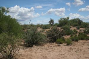 South of Rio Verde 0