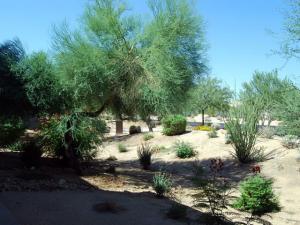 1116.00 SqFt - 2/2 bed/bath - $215,000