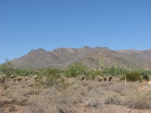 Horseshoe Canyon at Silverleaf 3218