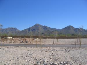Arcadia at Silverleaf 3687