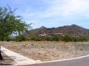 The Parks at Silverleaf 1235