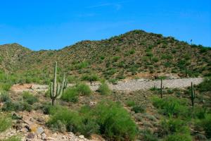 Upper Canyon at Silverleaf 1884