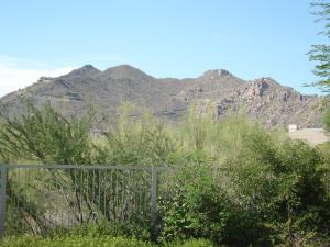 Terravita home for sale