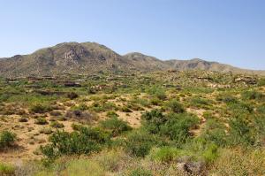Tonto Hills 176