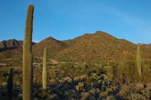 Upper Canyon at Silverleaf 1513