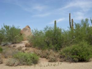 Monument at Troon North 338