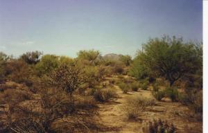 South of Rio Verde 0